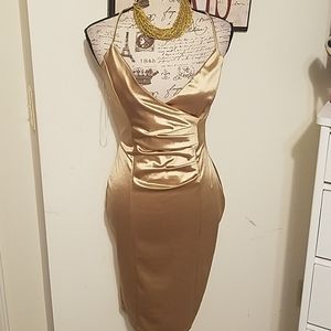 Dress by windsor NWT